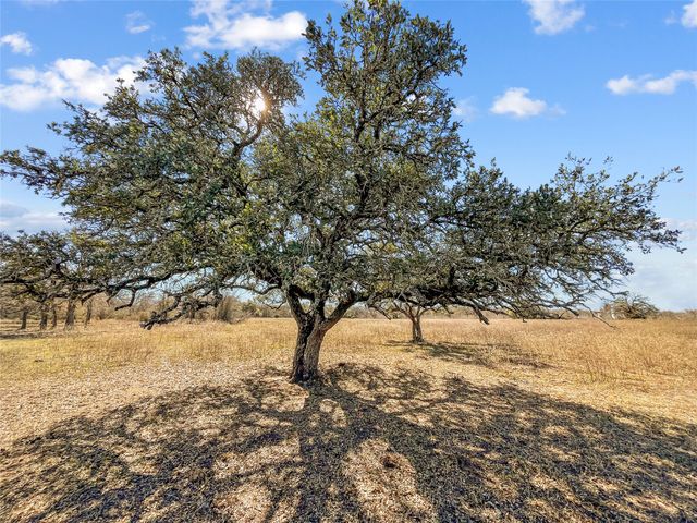 2494 County Road 118, Giddings, TX 78942