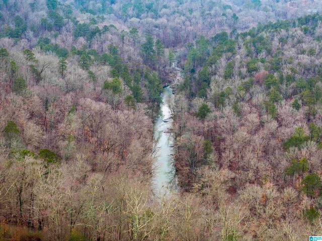 7618 ROPER TUNNEL ROAD, Trussville, AL 35173