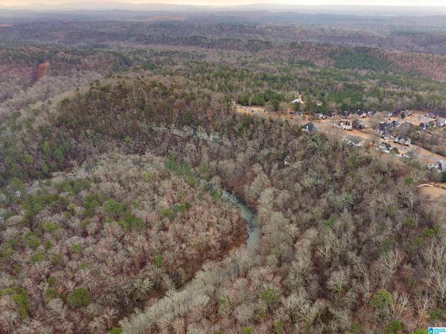 7618 ROPER TUNNEL ROAD, Trussville, AL 35173