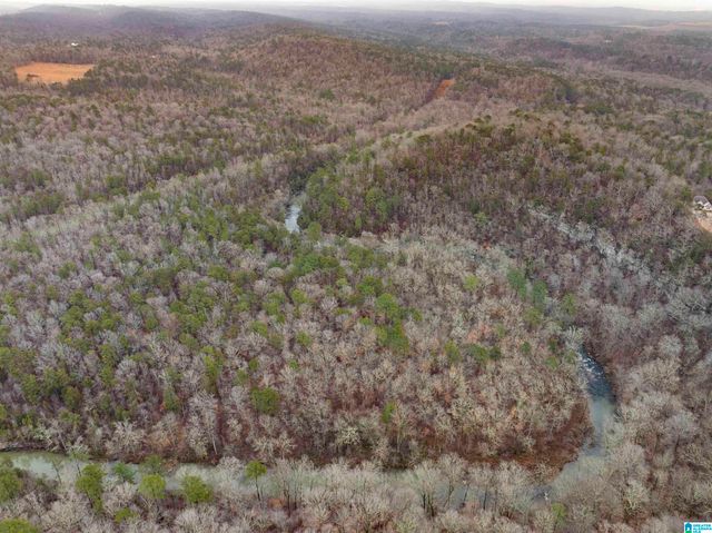 7618 ROPER TUNNEL ROAD, Trussville, AL 35173