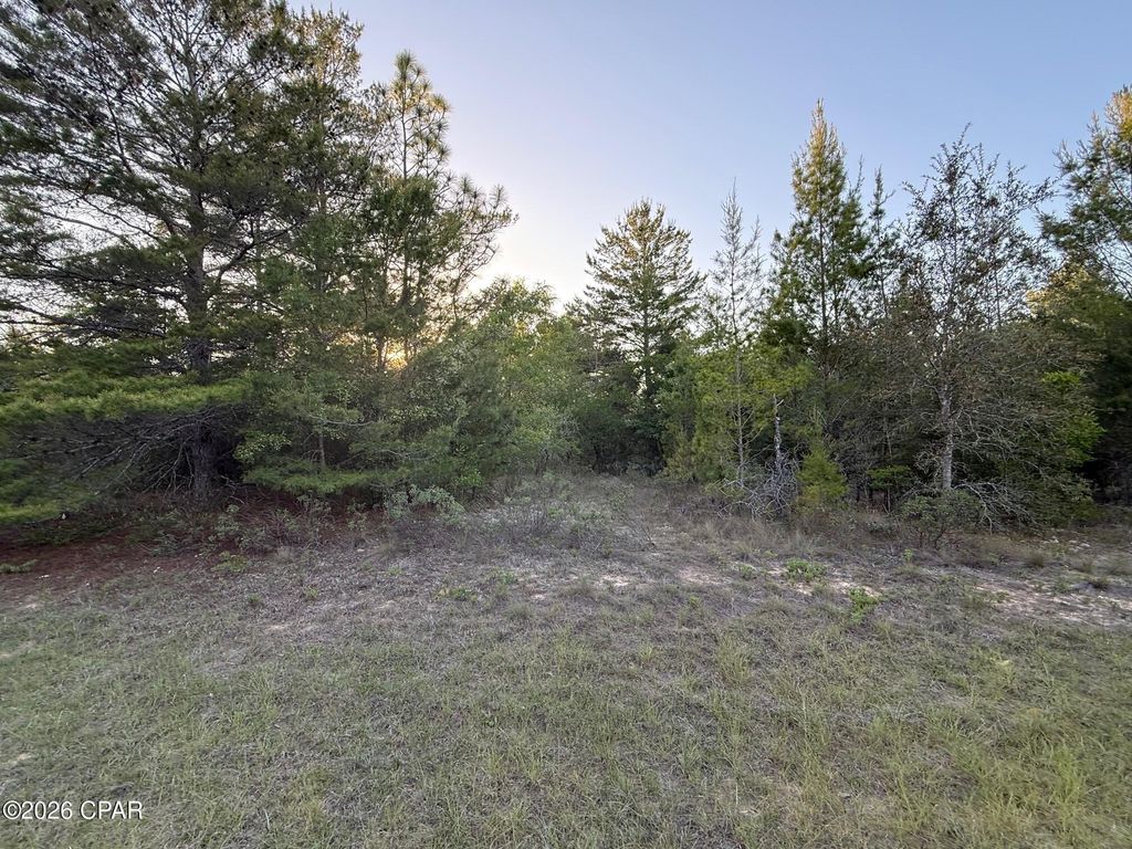 3970 Roseway Avenue, Chipley, FL 32428