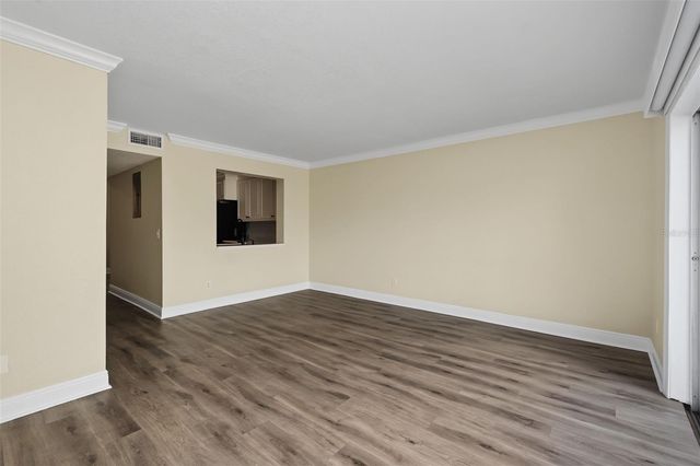 13747 JUNIPER BLOSSOM DRIVE, Tampa, FL 33618