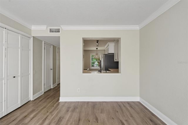 13747 JUNIPER BLOSSOM DRIVE, Tampa, FL 33618