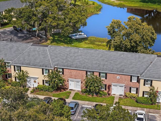 13747 JUNIPER BLOSSOM DRIVE, Tampa, FL 33618