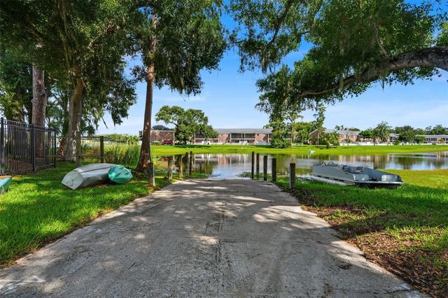 13747 JUNIPER BLOSSOM DRIVE, Tampa, FL 33618
