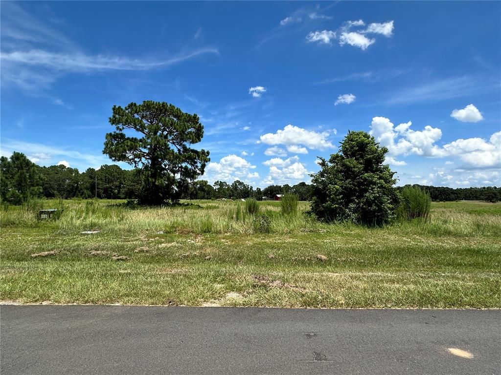 38796 RANCH GATE BLVD, Umatilla, FL 32784