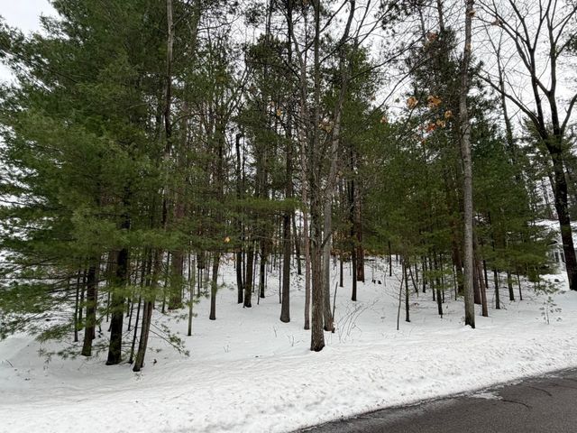 4478 Ground Pine Trail, Traverse City, MI 49686