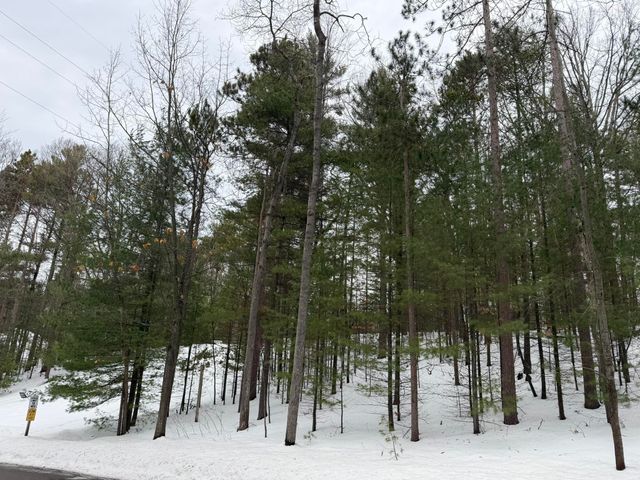 4478 Ground Pine Trail, Traverse City, MI 49686