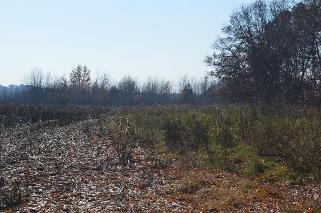 TBD Lot A Mayhew Lake Road, Sauk Rapids, MN 56379