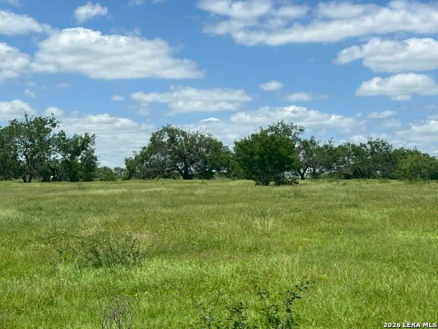 4612 County Road 117, Floresville, TX 78114