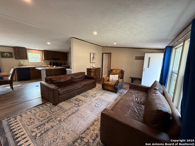 450 Mills, Pipe Creek, TX 78063