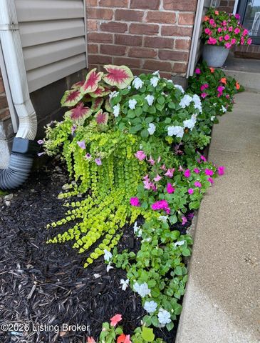 9712 Evanwood Ct, Louisville, KY 40228