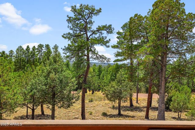 4089 MORNING VIEW Drive, Happy Jack, AZ 86024