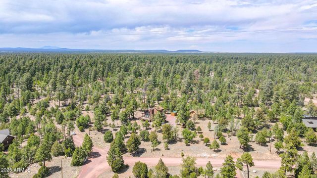 4089 MORNING VIEW Drive, Happy Jack, AZ 86024