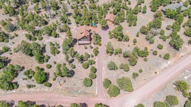 4089 MORNING VIEW Drive, Happy Jack, AZ 86024