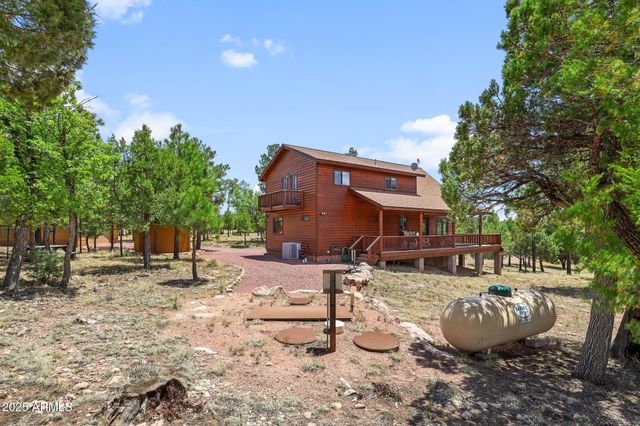 4089 MORNING VIEW Drive, Happy Jack, AZ 86024