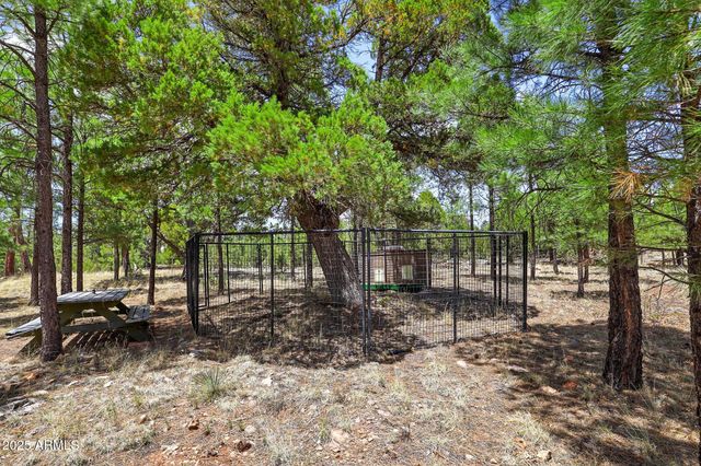 4089 MORNING VIEW Drive, Happy Jack, AZ 86024