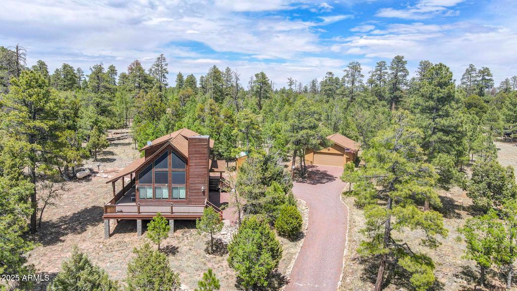 4089 MORNING VIEW Drive, Happy Jack, AZ 86024