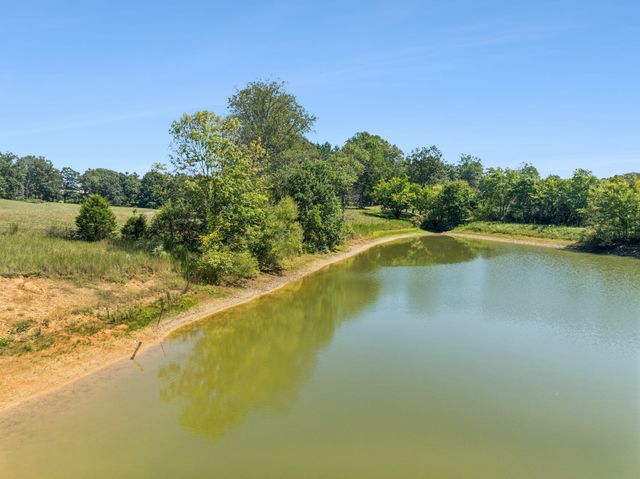 8272 Burgess Falls Rd, Baxter, TN 38544