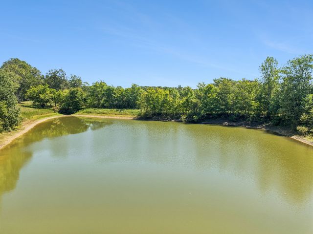 8272 Burgess Falls Rd, Baxter, TN 38544