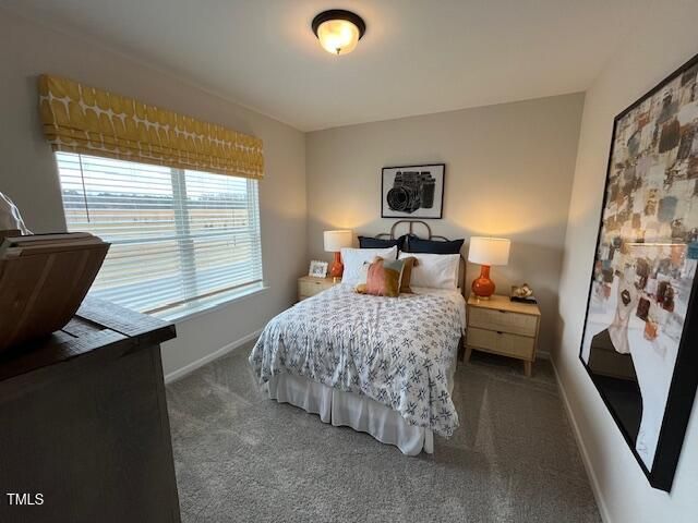 164 E Victory View. Terrace, Smithfield, NC 27577