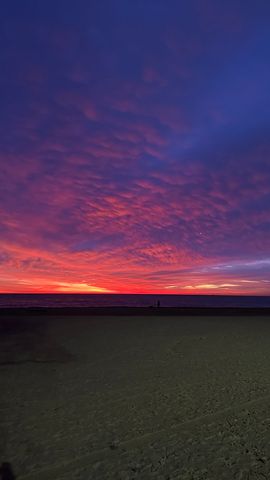 1136 W Pratt Boulevard 2S, Chicago, IL 60626