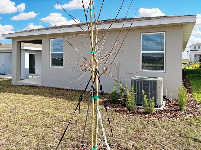 2016 SUNSHINE PEAK DRIVE, Minneola, FL 34715