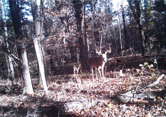 10932 Georgia Flat Road, Gravette, AR 72736