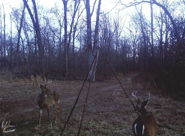 10932 Georgia Flat Road, Gravette, AR 72736