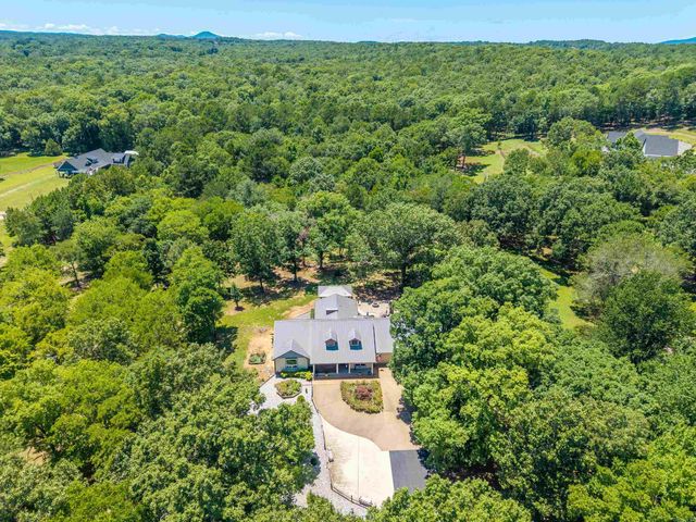 393 Grandstaff Drive, Hot Springs, AR 71913