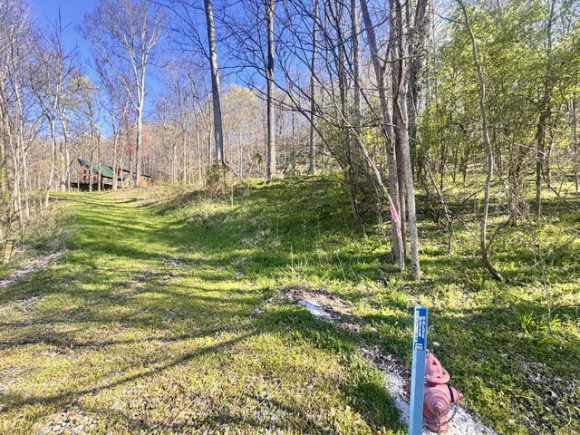 0 Lake view Drive, Smithville, TN 37166