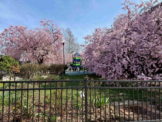 95 PALISADE AVE, Jc, Heights, NJ 07306