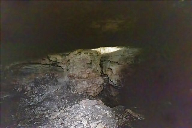 14129 Highway 311, Green Forest, AR 72638