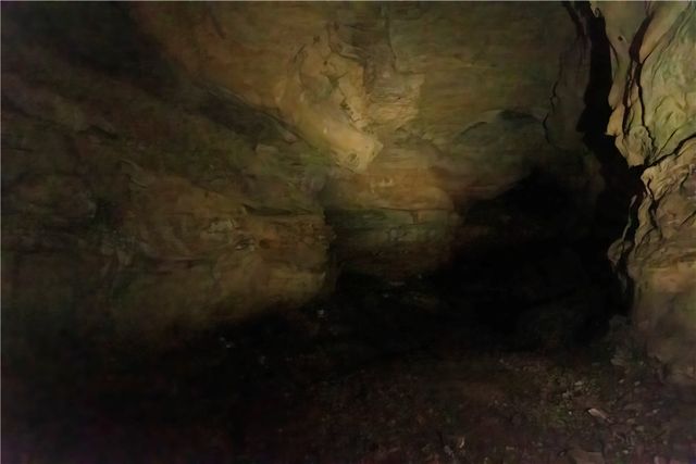 14129 Highway 311, Green Forest, AR 72638