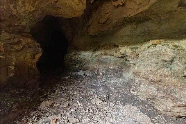 14129 Highway 311, Green Forest, AR 72638