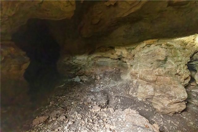 14129 Highway 311, Green Forest, AR 72638