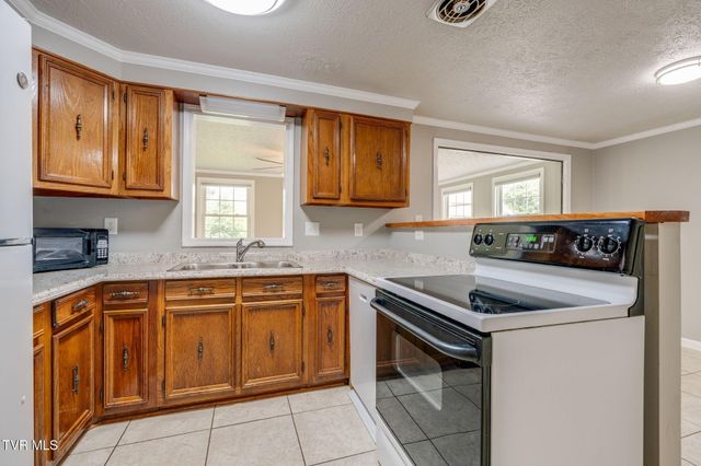 113 Beech Grove Road, Telford, TN 37690