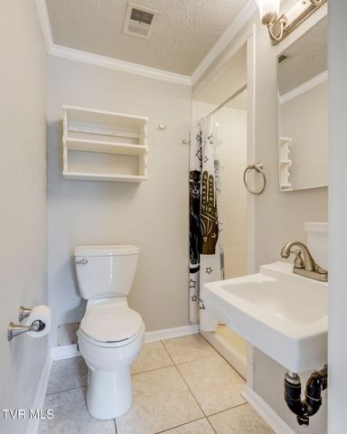 113 Beech Grove Road, Telford, TN 37690