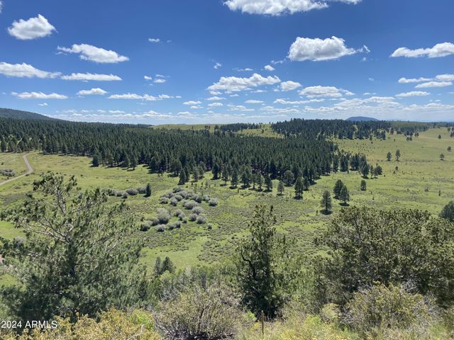 001 Hart Praire Rd -- -, Flagstaff, AZ 86001