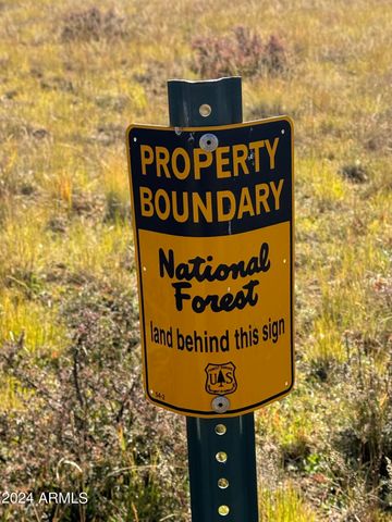 001 Hart Praire Rd -- -, Flagstaff, AZ 86001