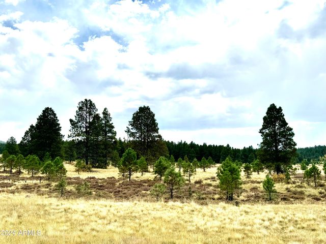001 Hart Praire Rd -- -, Flagstaff, AZ 86001