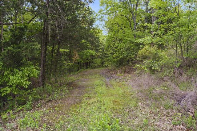86 Rasso Way 78, Kimberling City, MO 65686
