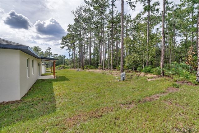 1097 W Cary Drive, Citrus Springs, FL 34434