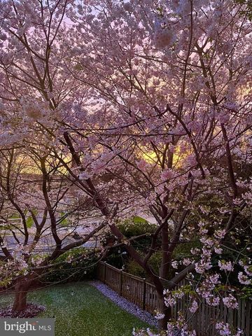 4452 Q ST NW, Washington, DC 20007