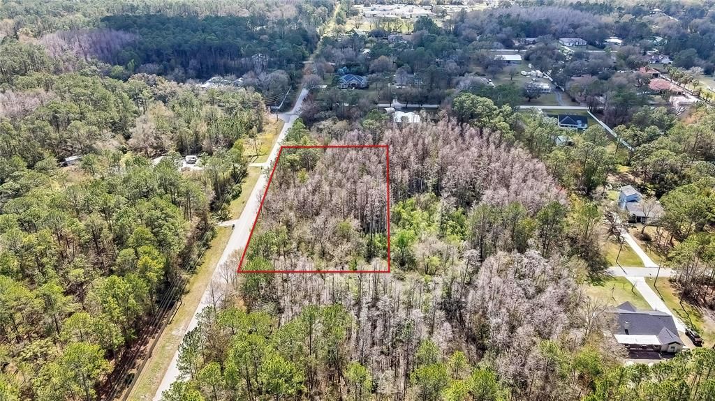 BEAVER LANE, Wesley Chapel, FL 33544