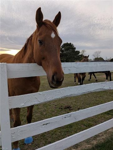 2001 Quarter Horse LN, Suffolk, VA 23434