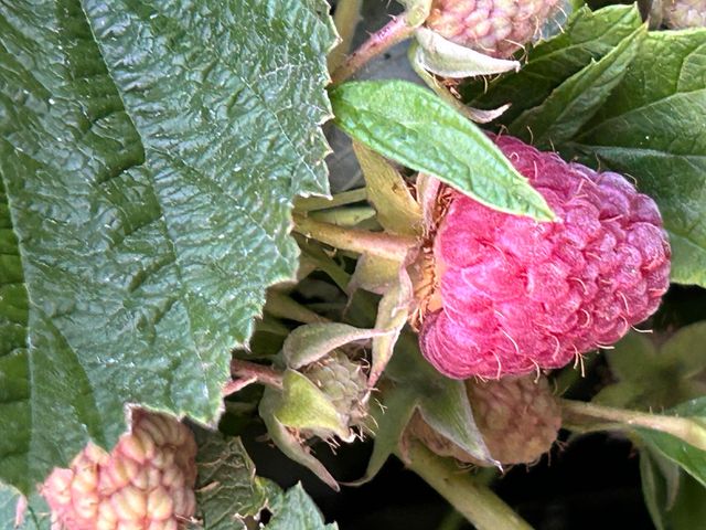 2218 SW 79th Street, Redmond, OR 97756