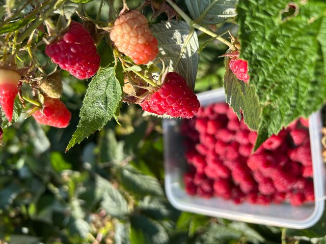 2218 SW 79th Street, Redmond, OR 97756