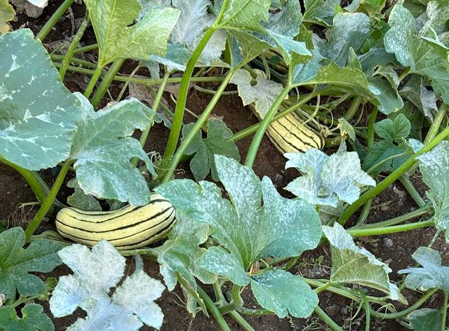 2218 SW 79th Street, Redmond, OR 97756