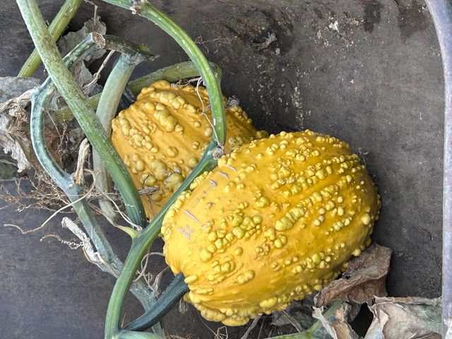 2218 SW 79th Street, Redmond, OR 97756